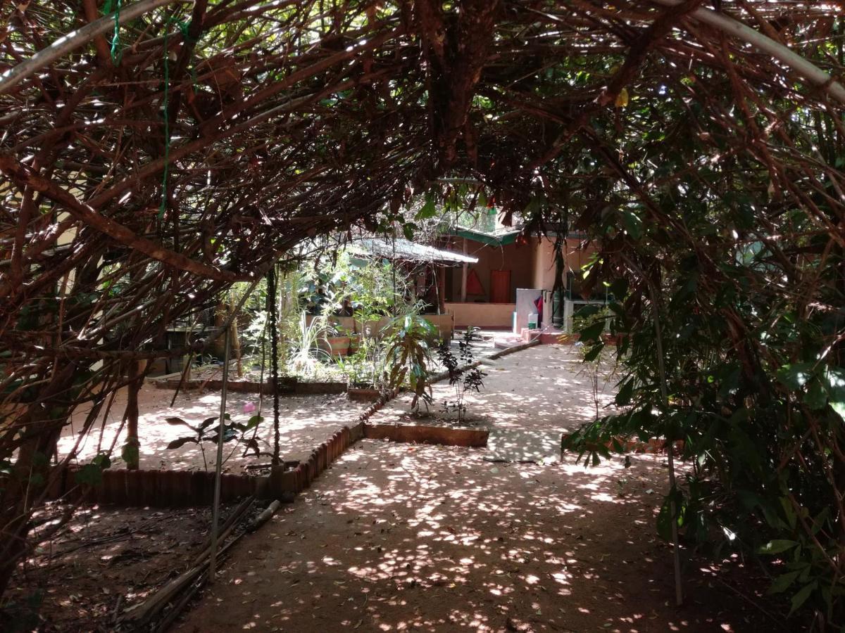 Sigiriya Freedom Lodge Dambulla Dış mekan fotoğraf