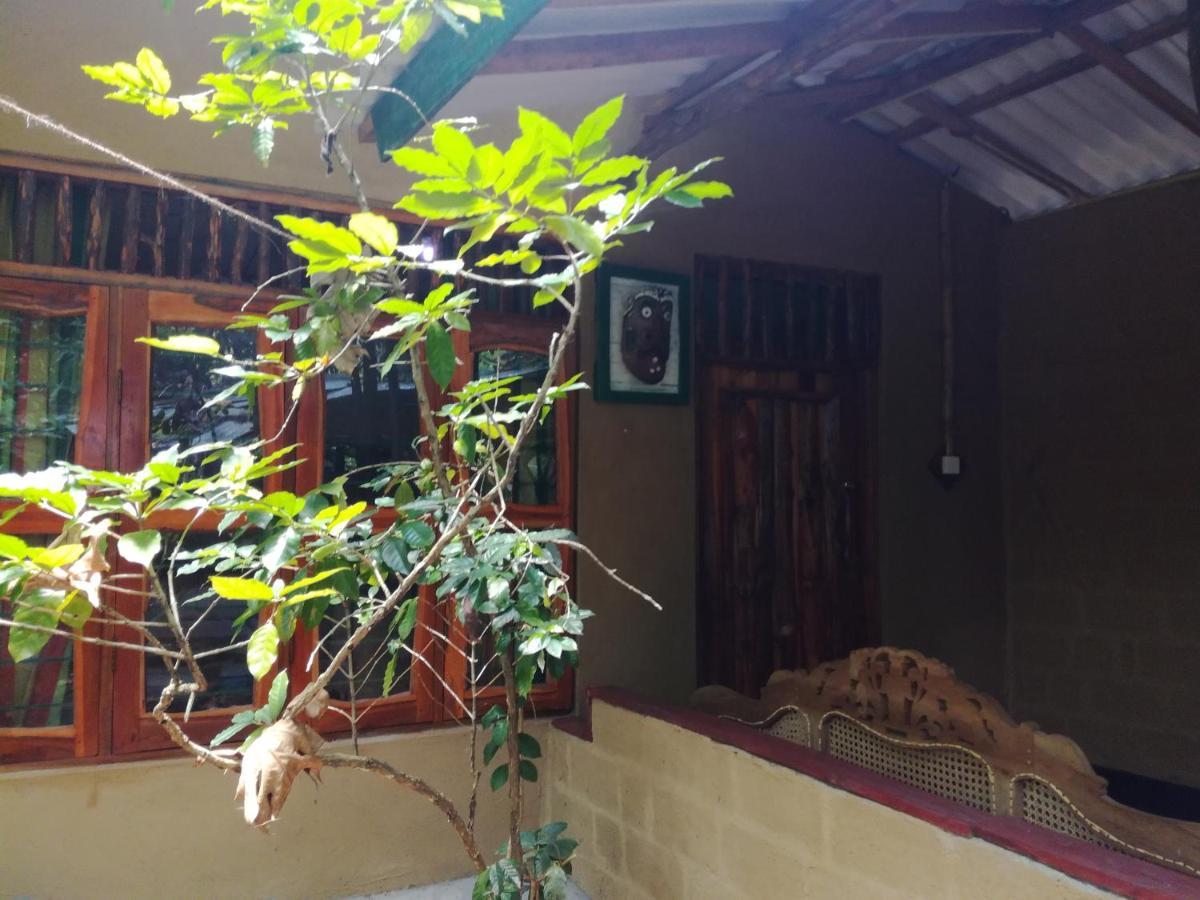 Sigiriya Freedom Lodge Dambulla Dış mekan fotoğraf