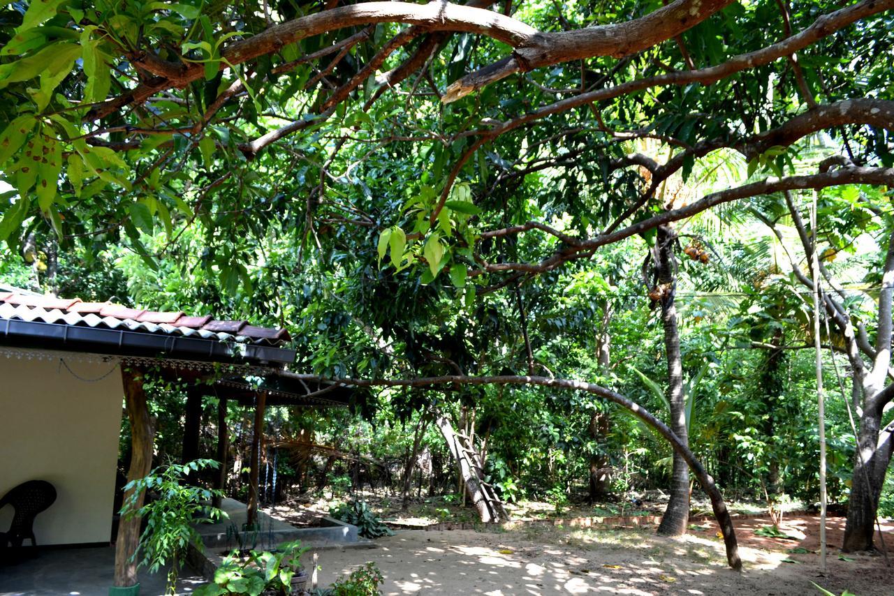 Sigiriya Freedom Lodge Dambulla Dış mekan fotoğraf