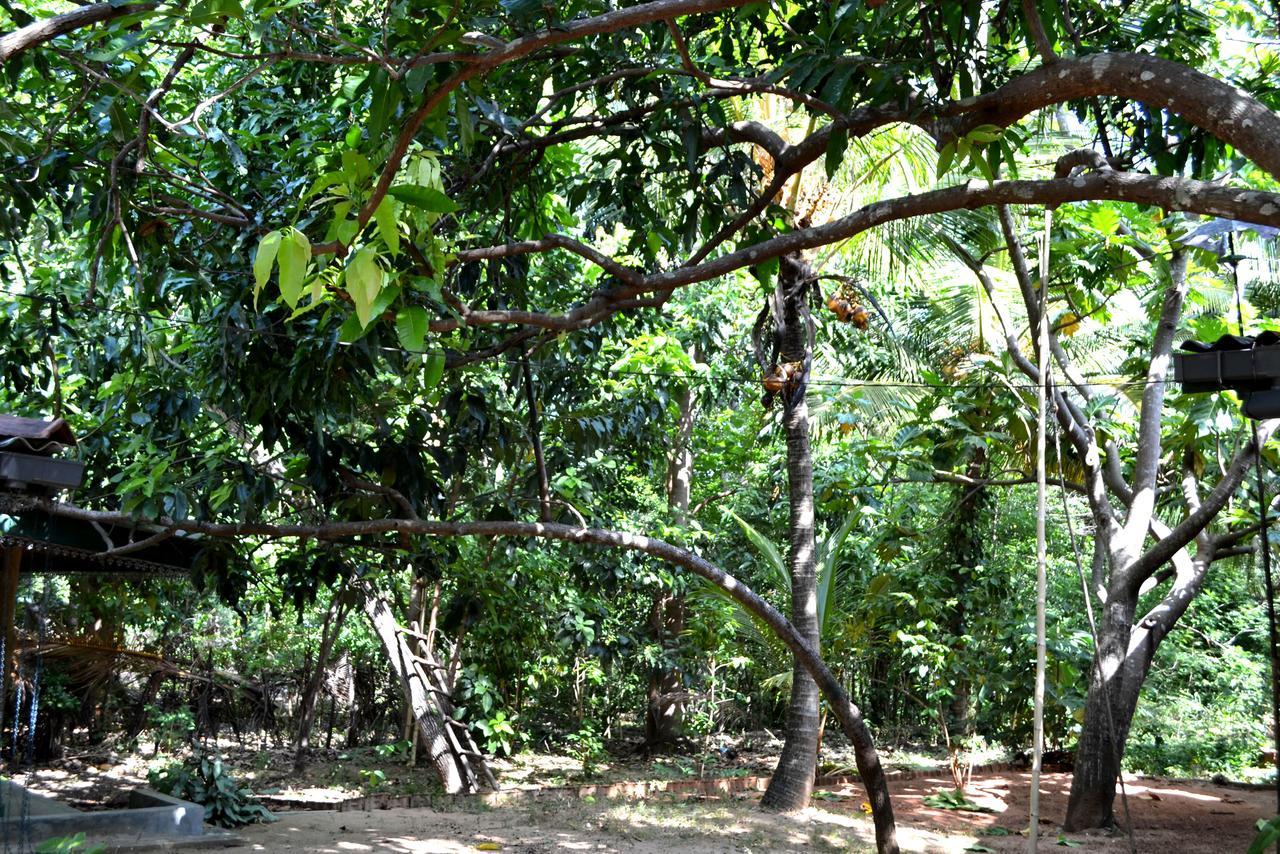 Sigiriya Freedom Lodge Dambulla Dış mekan fotoğraf