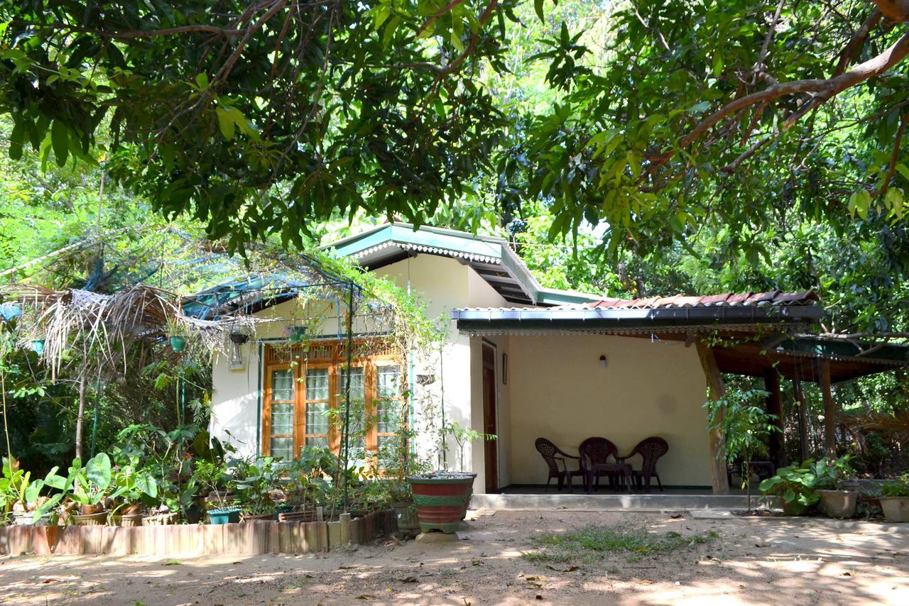 Sigiriya Freedom Lodge Dambulla Dış mekan fotoğraf