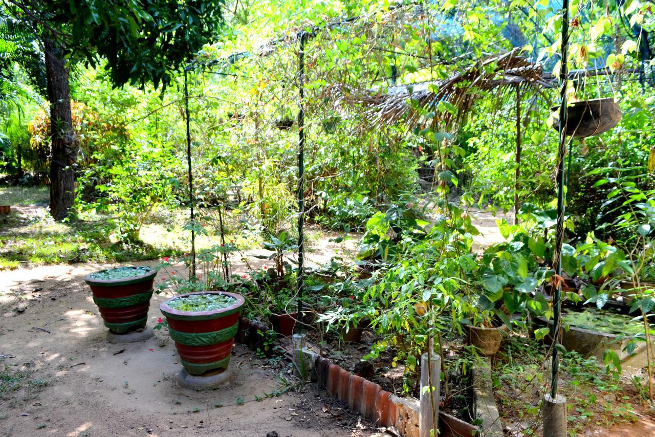 Sigiriya Freedom Lodge Dambulla Dış mekan fotoğraf