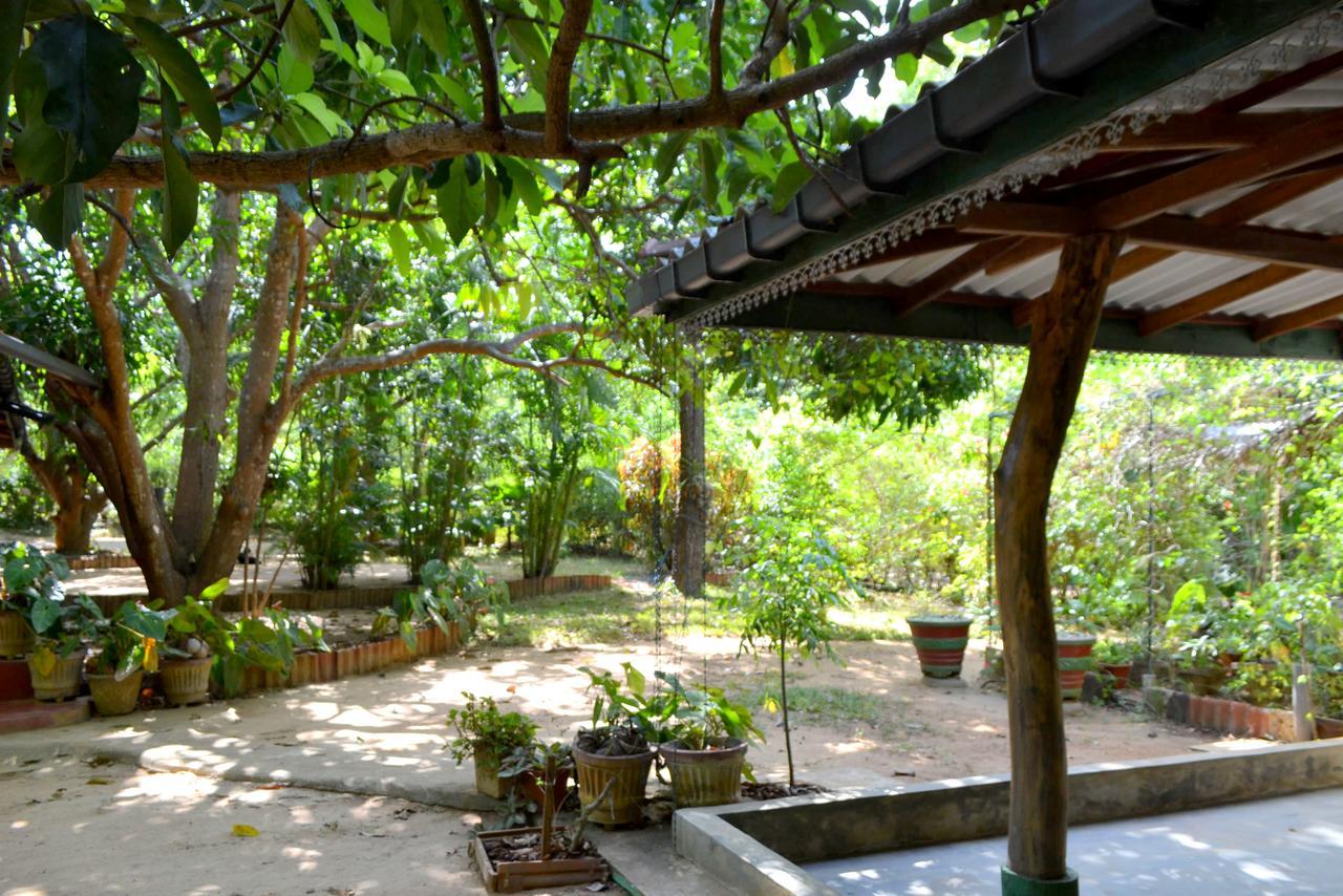 Sigiriya Freedom Lodge Dambulla Dış mekan fotoğraf