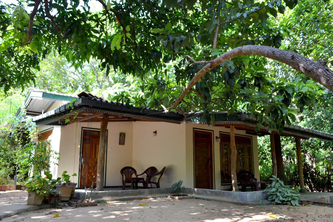 Sigiriya Freedom Lodge Dambulla Dış mekan fotoğraf