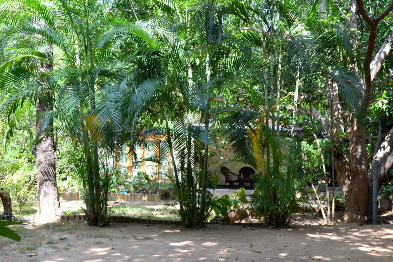 Sigiriya Freedom Lodge Dambulla Dış mekan fotoğraf